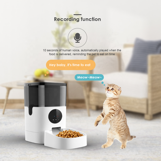 Smart Wifi Advanced Auto Reminder Timed pet  Food Dispenser